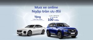 mua-xe-vinfast-online-tang-3-nam-bao-duong